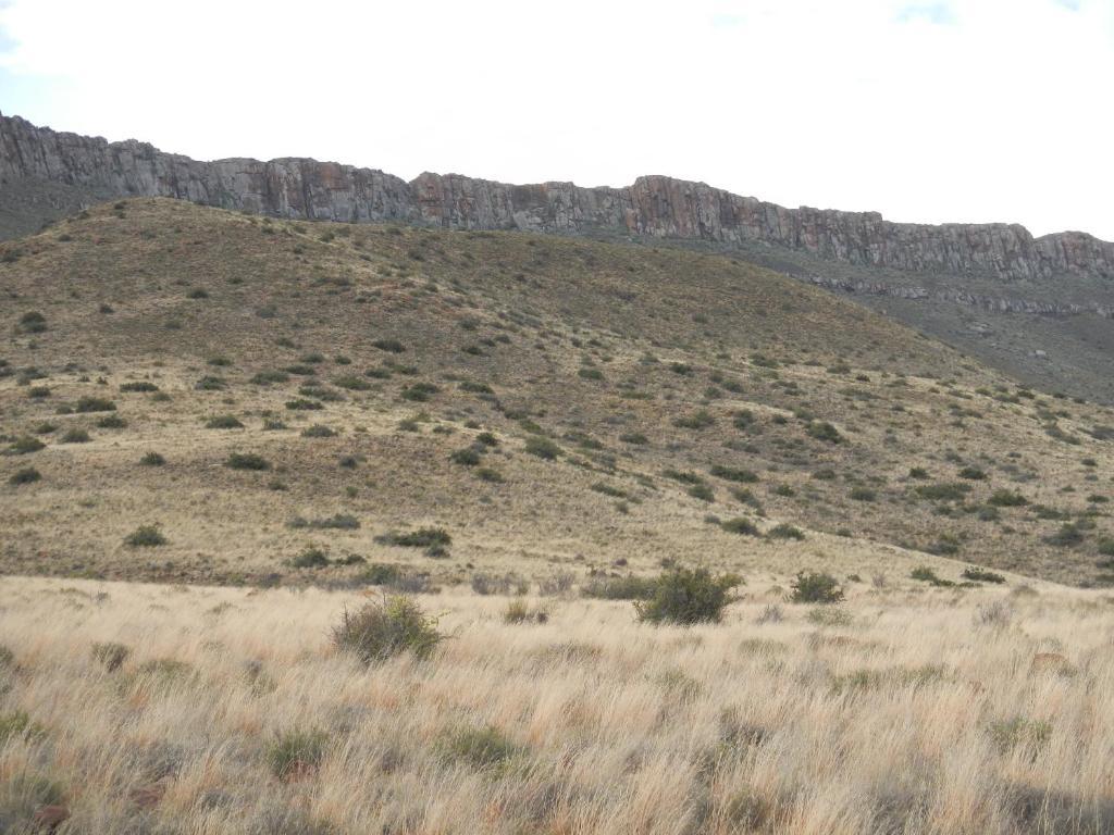 Lemoenfontein Pensionat Beaufort West Exteriör bild