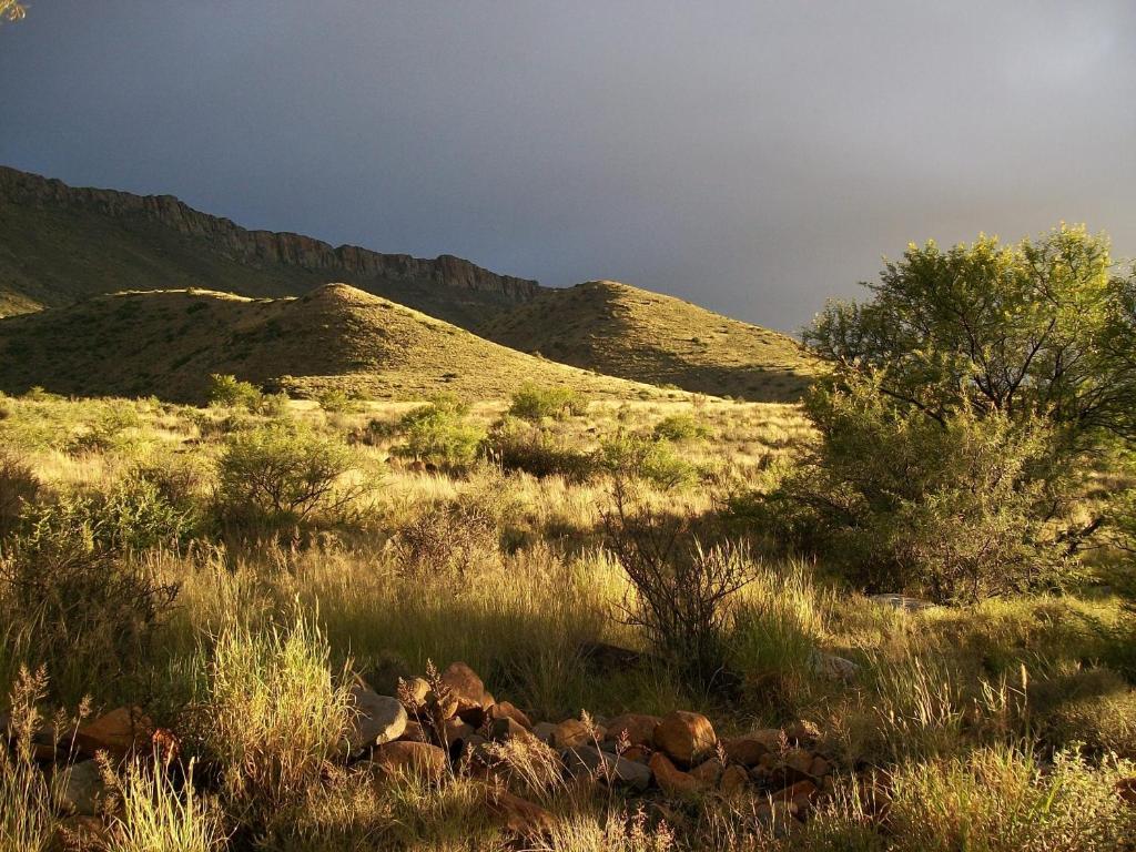 Lemoenfontein Pensionat Beaufort West Exteriör bild